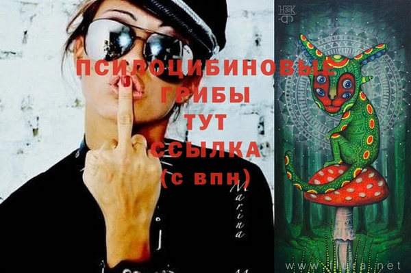 стаф Вязники