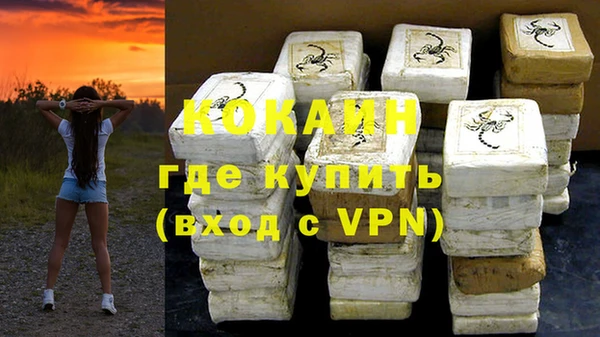 стафф Вязьма