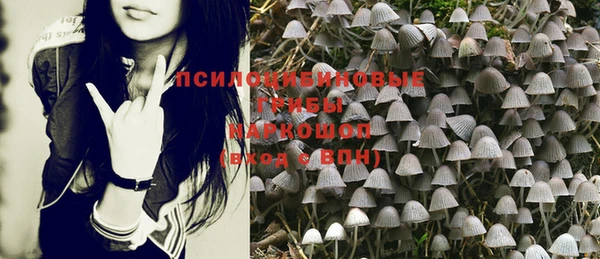 стаф Вязники