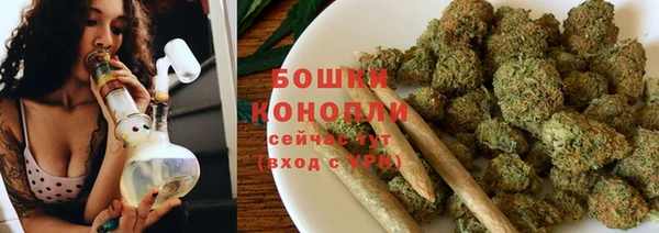 стафф Вязьма