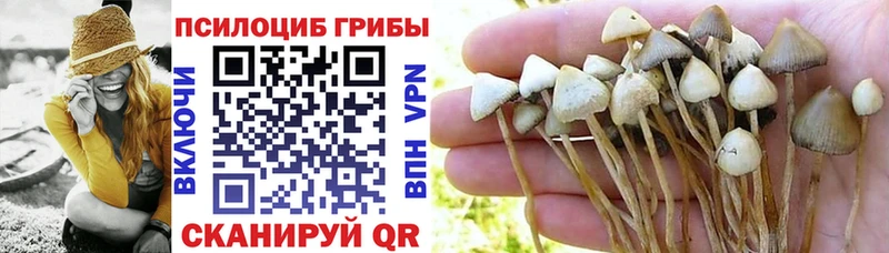 Купить закладки Изобильный Псилоцибиновые грибы Cubensis